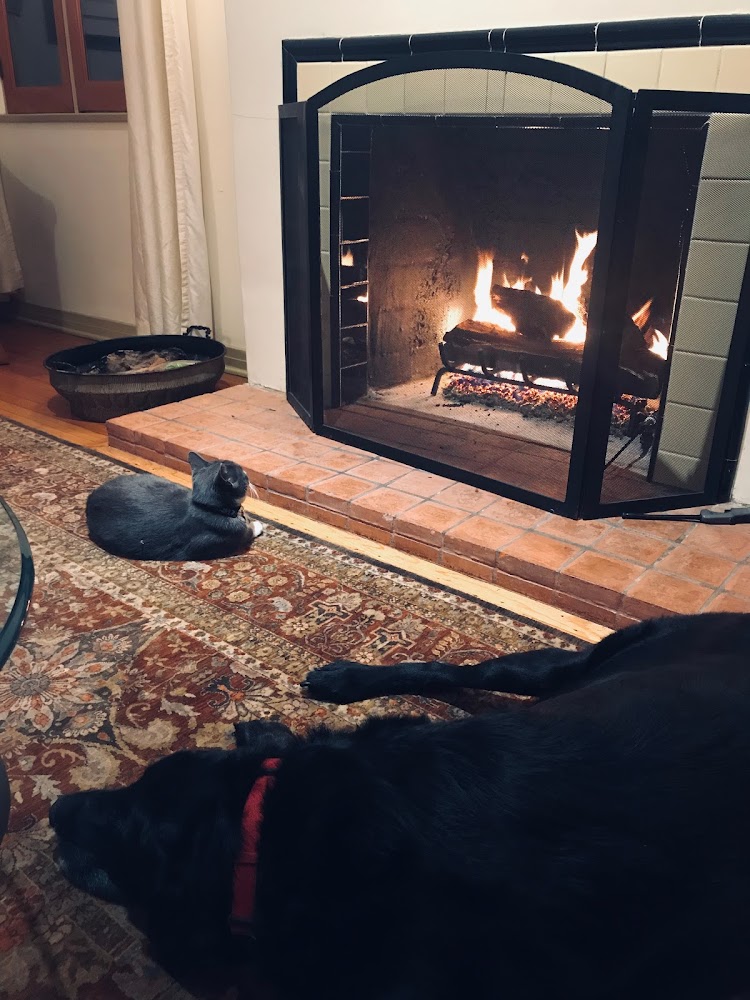 Armand’s Discount Fireplace & BBQ Company in Culver City - FireplaceStoreFinder