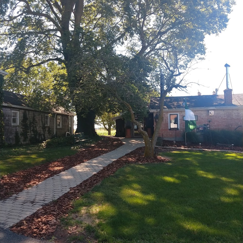 Bauer Stoves and Fireplaces in Urbana - FireplaceStoreFinder