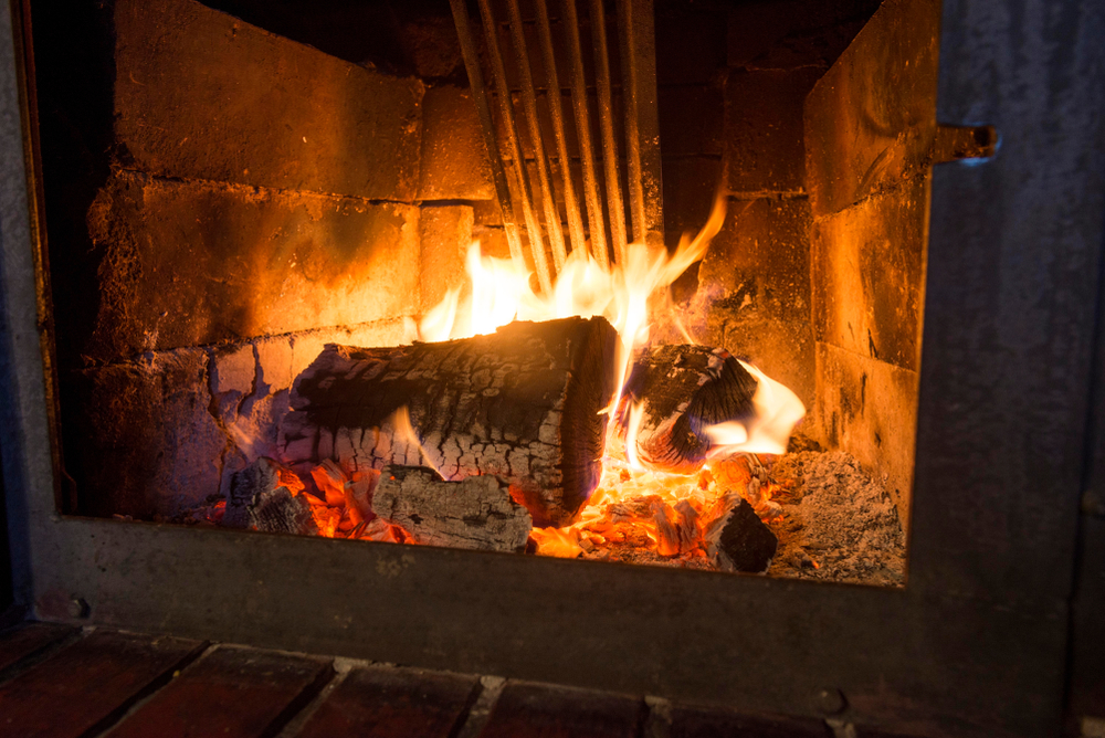 Cozy Fireplaces & Patio Vienna