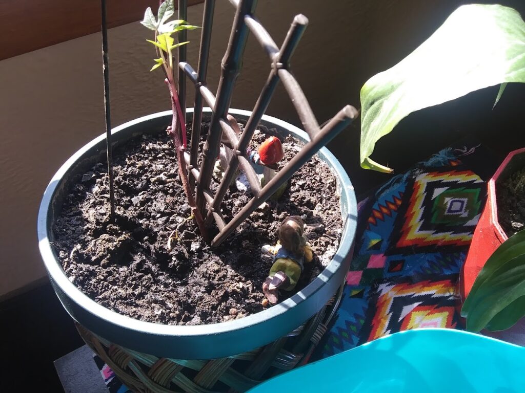 Fireside Xpressions in Warren - FireplaceStoreFinder