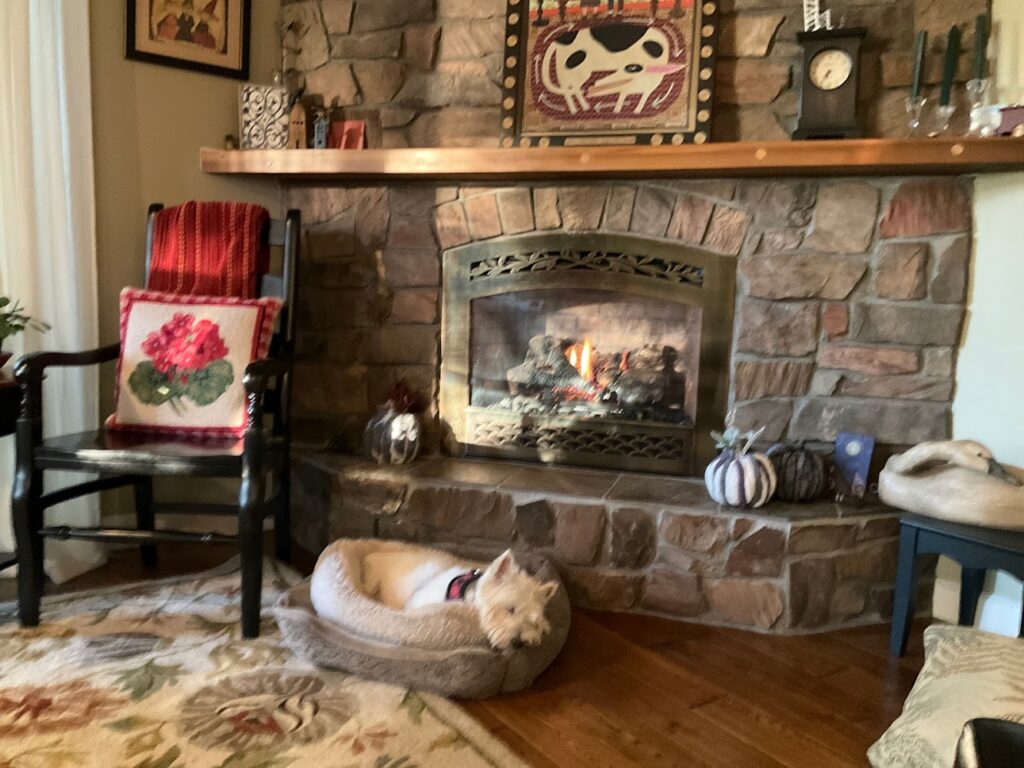 JW Fireplace Sales & Consulting in Howell - FireplaceStoreFinder