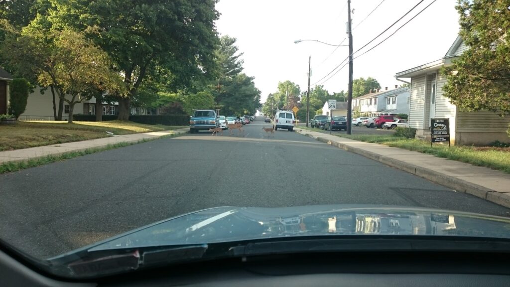 Nester Brothers Inc in Pennsburg - FireplaceStoreFinder