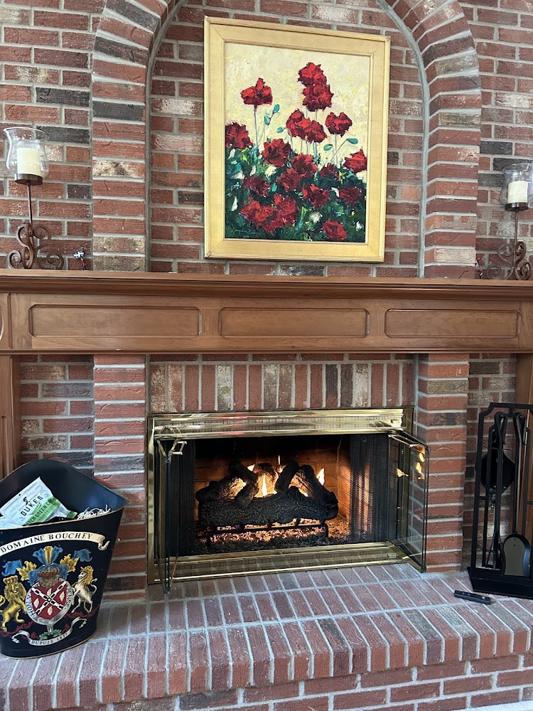 The Fireplace Doctor