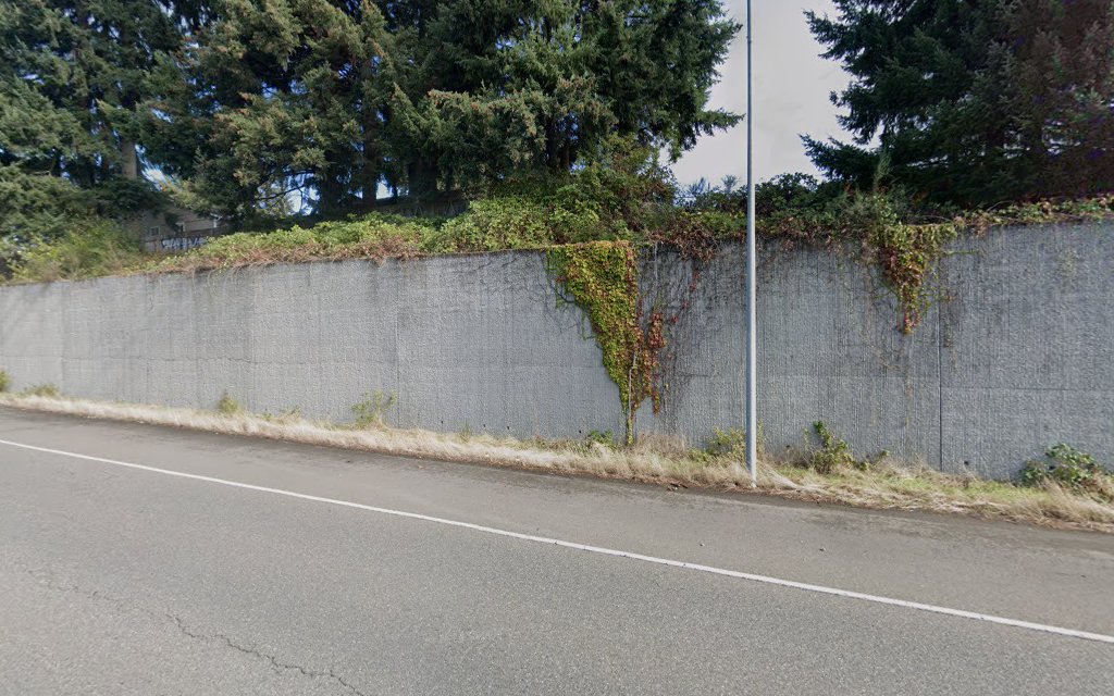 Zen Firepits in Olympia - FireplaceStoreFinder